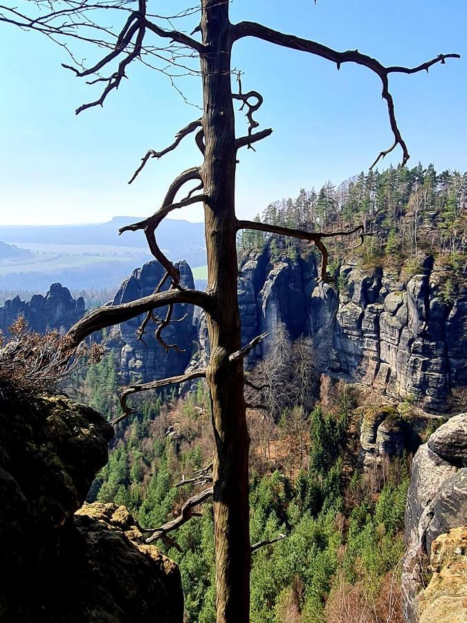 Villa Arizona Бад Шандау Екстериор снимка